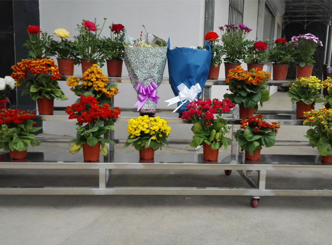 �ʻ�����