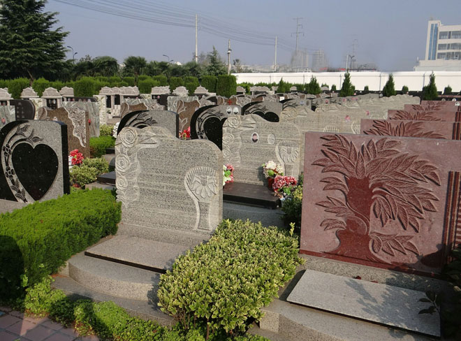 ����Ĺ��