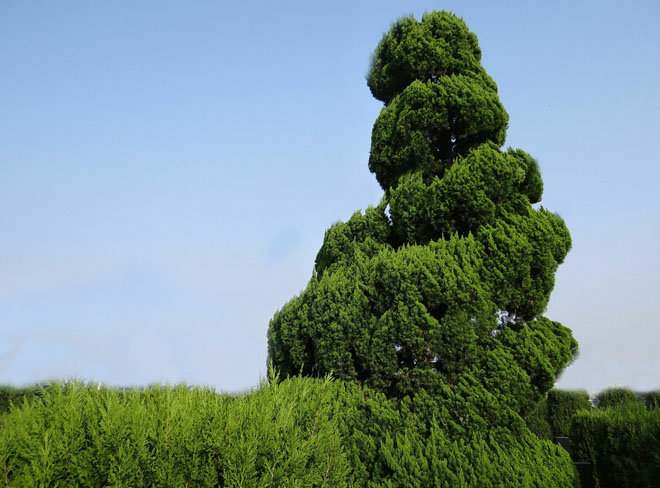 Ĺ��������