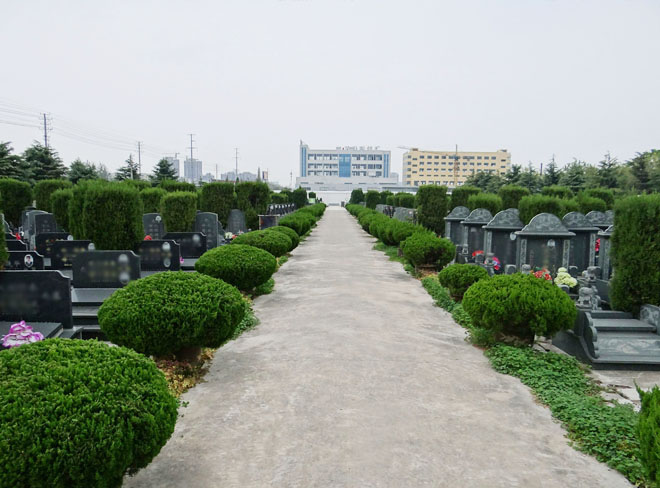 Ĺ������